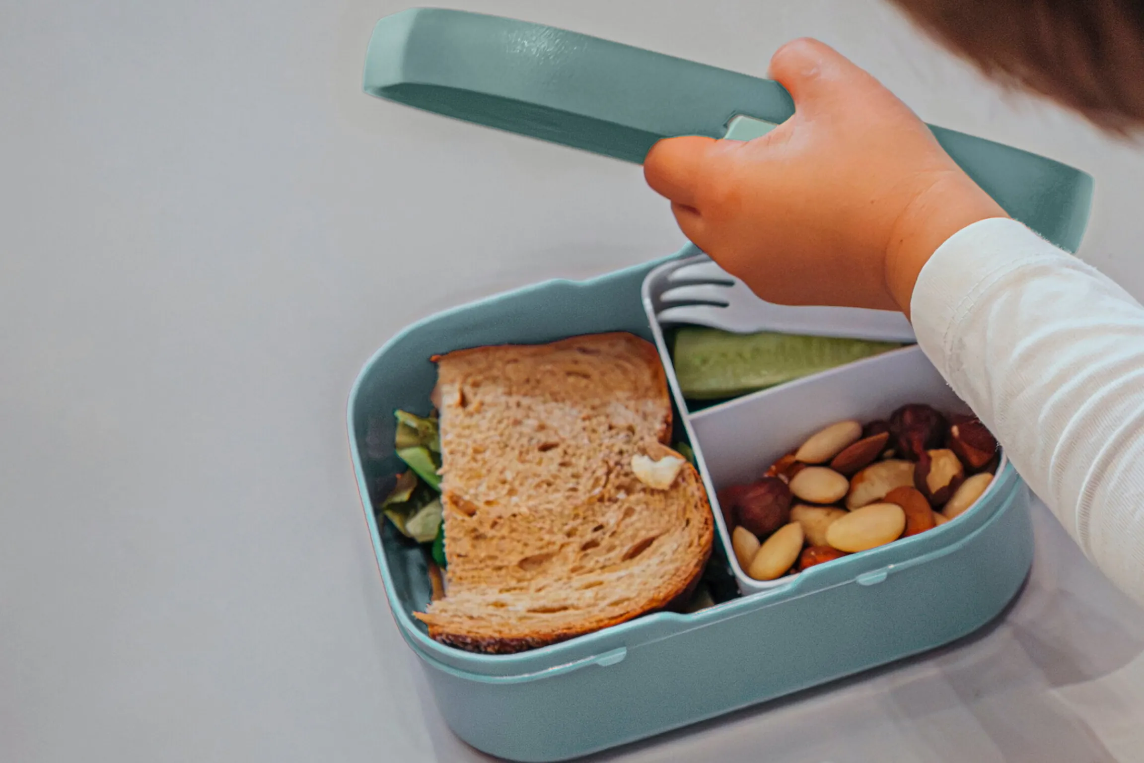 Mepal Back To School Sets Met Print|Broodtrommel Met Naam<Campus Bento lunchbox met vorkje - Wild Horse