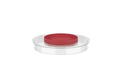 Mepal Beslagkommen<Spatdeksel beslagkom Chef It 3000 ml - Coral