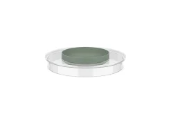 Mepal Beslagkommen<Spatdeksel beslagkom Chef It 3000 ml - Nordic sage